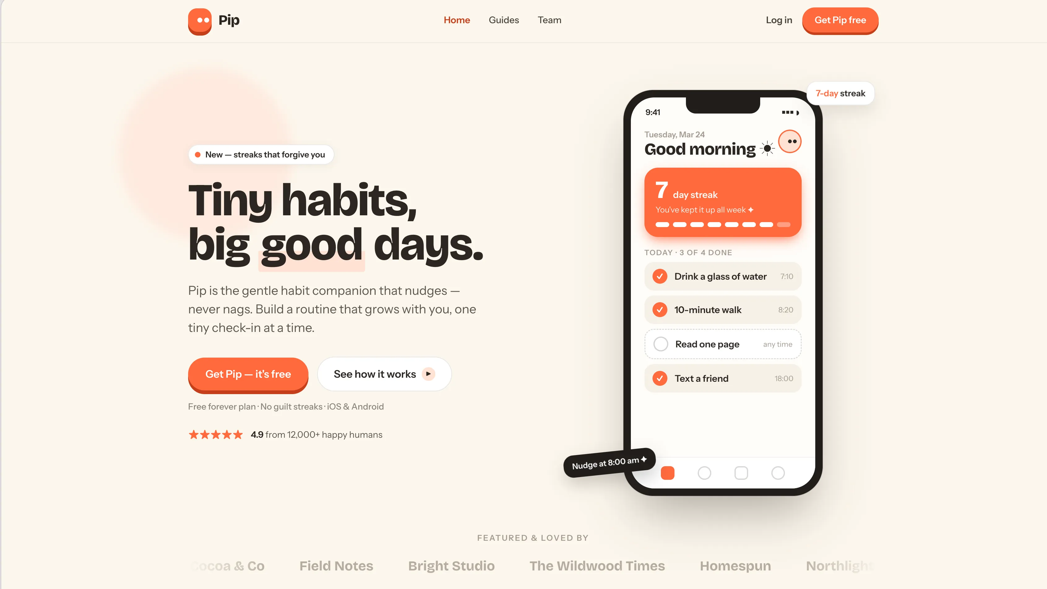 Screenshot of Pip's homepage